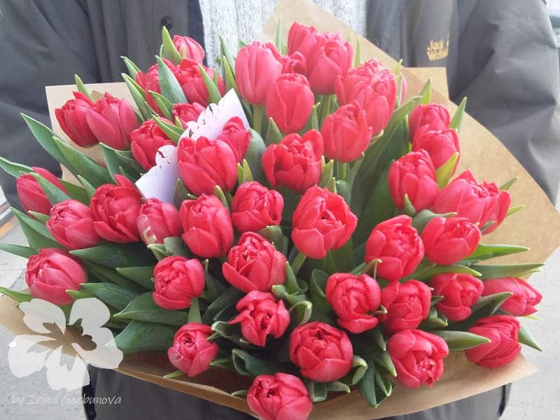 45 Розовых Пионовидных Тюльпанов